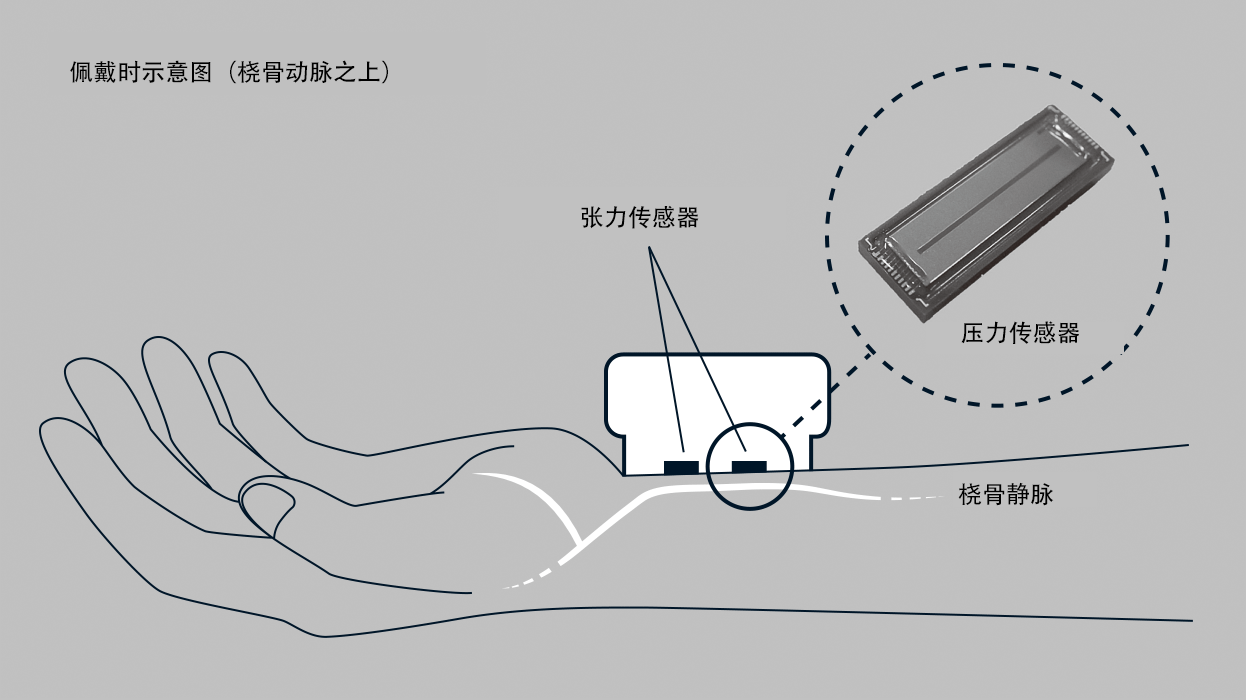 手首に機(jī)器をつけるだけで1拍ごとの血圧を測定できる、オムロン獨(dú)自の圧力センサー